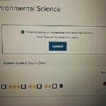 do-my-sophia-courses